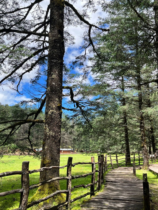Yunnan 🇨🇳 