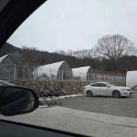 ⛺ 산들캠핑파크&글램핑, 자연 속에서 진짜 쉬는 법을 배우는 곳