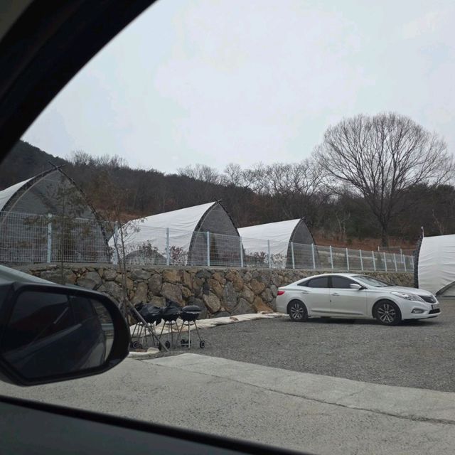 ⛺ 산들캠핑파크&글램핑, 자연 속에서 진짜 쉬는 법을 배우는 곳