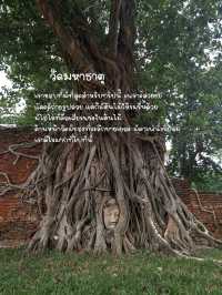 อยุธยาคนเดียว 1 วัน(ไม่นอน) จากเชียงใหม่