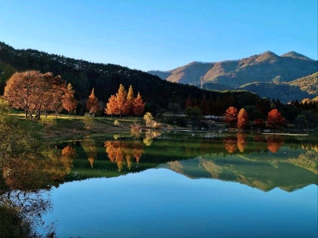 Lazy Strolls and Duck Drama at Jucheon Ecological Park