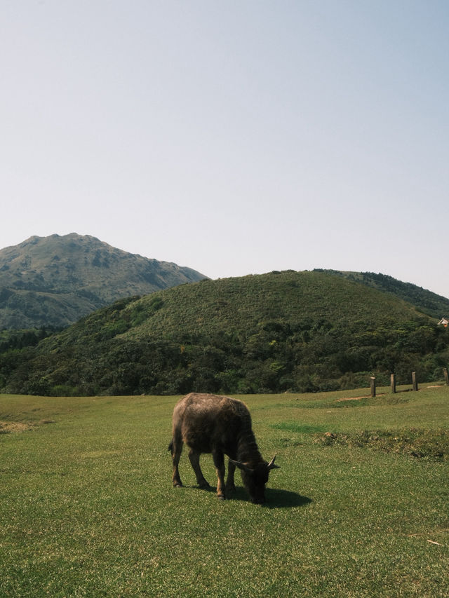 Taipei 8 Days Itinerary
