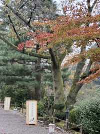  🇯🇵【金澤靜謐時光．走進歷史的懷抱】 📍金澤城公園｜石川縣・日本
