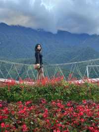 Escape to the Clouds: Moana Sapa This Summer