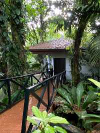 🇲🇾☀️ Melaka Escape: Riverside Luxury & Historic Streets Await at Casa del Rio! 🏞️🍹