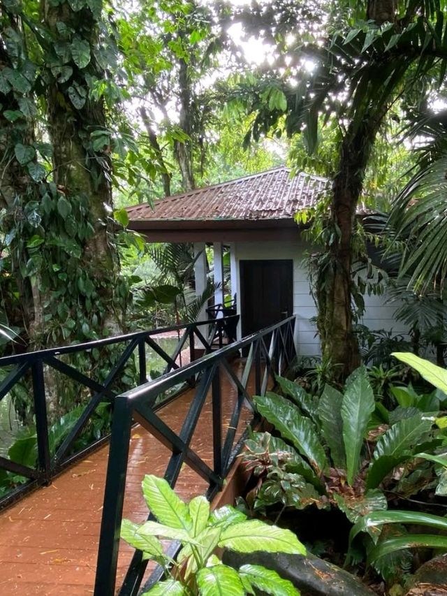 🇲🇾☀️ Melaka Escape: Riverside Luxury & Historic Streets Await at Casa del Rio! 🏞️🍹