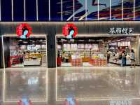Chongqing Jiangbei International Airport 