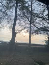 ทะเลตรัง