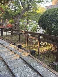 🚂 춘천 당일치기 여행코스 🌳 남이섬부터 떡볶이까지 완벽 루트!