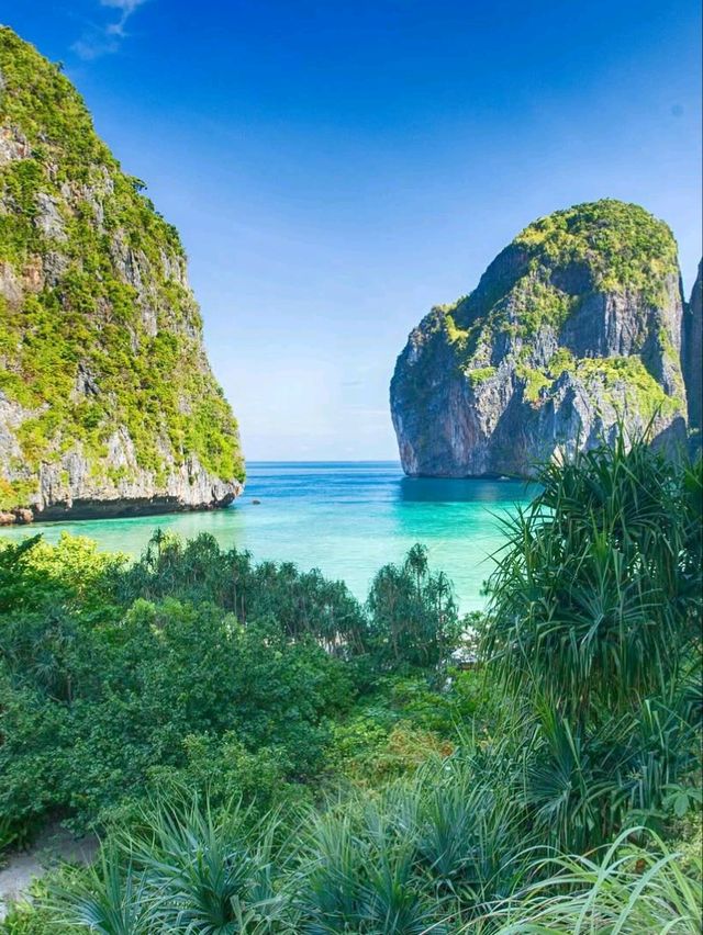 🌴🚤 Paradise Found! | Phi Phi Island Cruise  🇹🇭✨