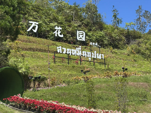 • สวนหมื่นบุปผา (หรือ สวนไม้ดอกเมืองหนาวเบตง)🌷🌻