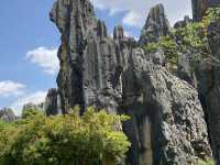 Must Visit - Magical Sone Forest Yunnan , UNESCO site 