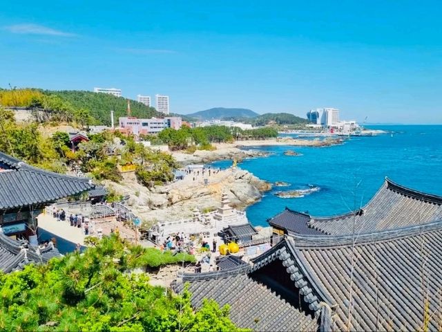 海と共鳴する神聖な空間、海東龍宮寺