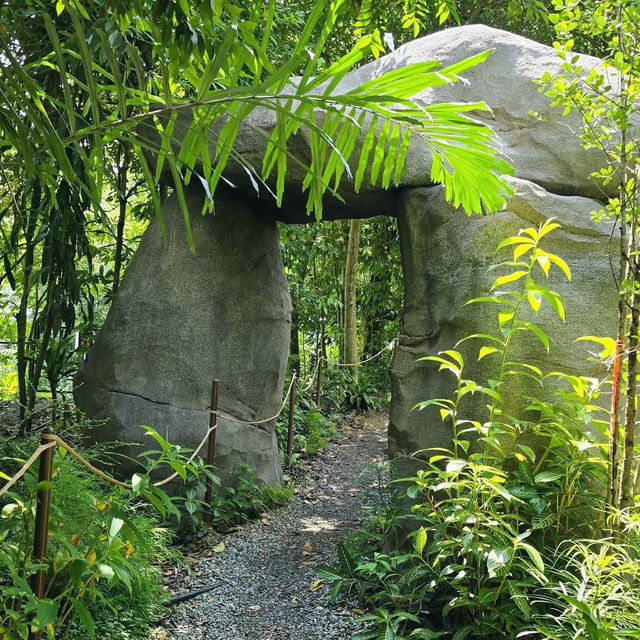 Into the Wild: A Stroll Through Rainforest Wild Asia 🇸🇬