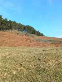 Bradgate Park