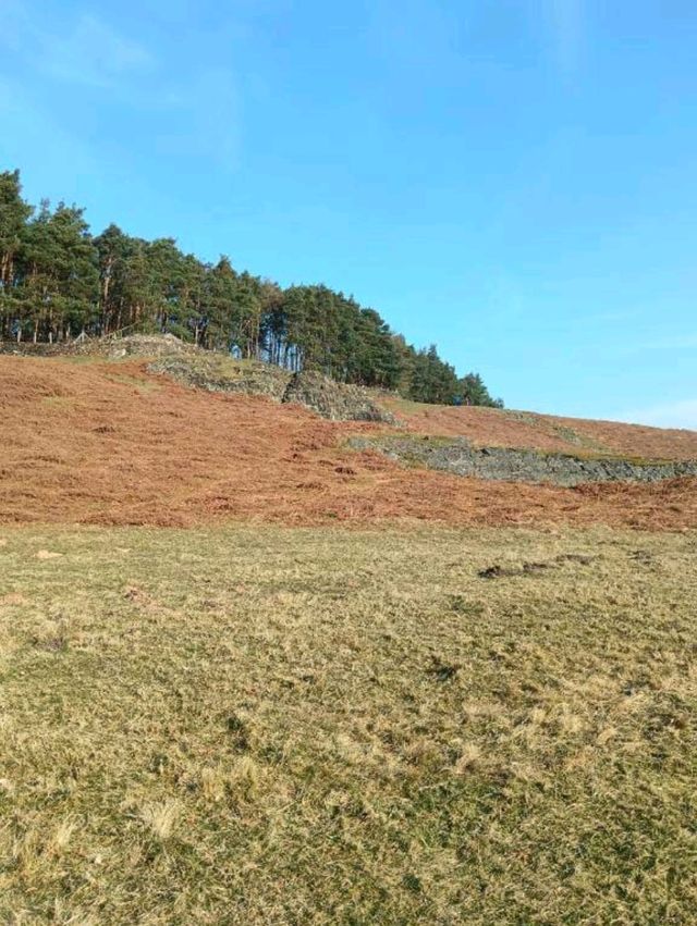 Bradgate Park