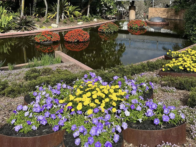 Spectacle Garden: A Colorful Escape in Brisbane