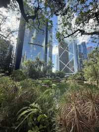 Hong Kong Park, Urban Oasis in the Heart of the City
