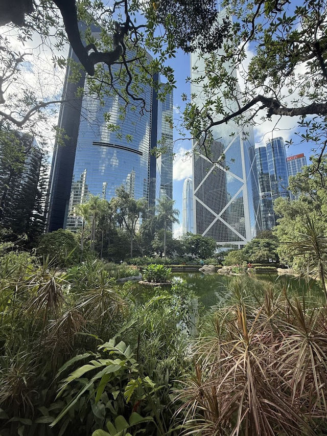 Hong Kong Park, Urban Oasis in the Heart of the City