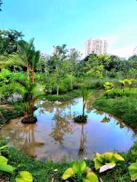 Nostalgic feels at Cascading creeks