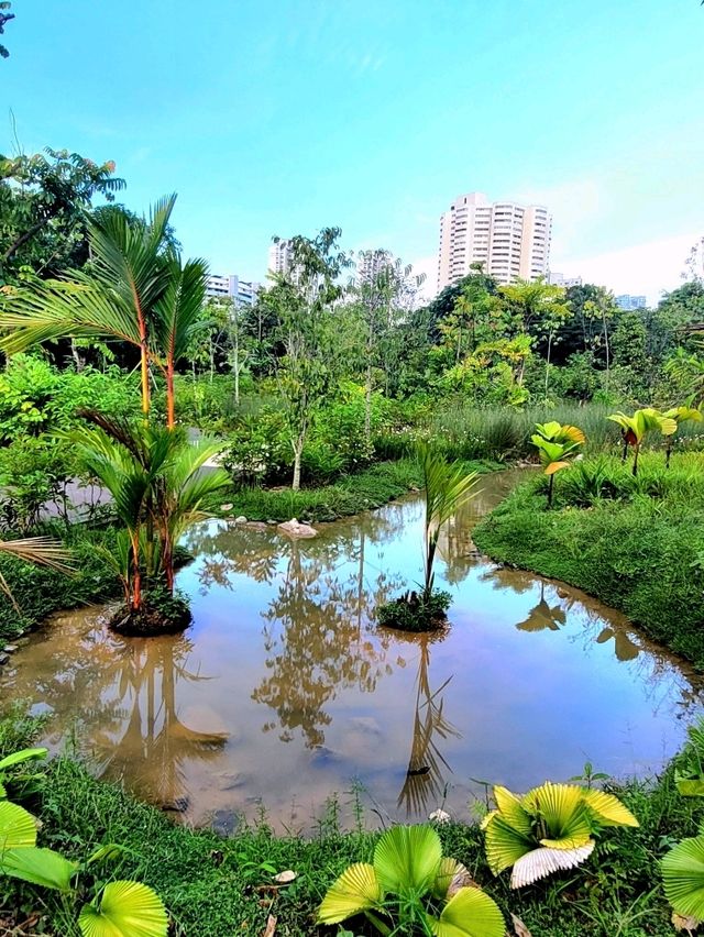 Nostalgic feels at Cascading creeks