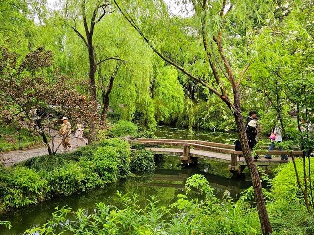 I came to this garden in Suzhou, and I was stunned by its beauty