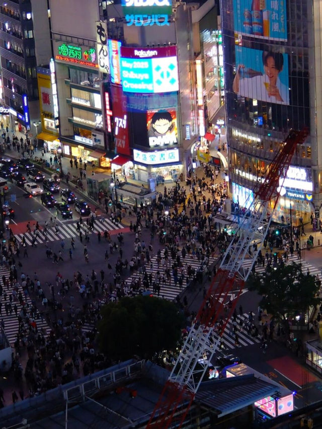 🚥【渋谷スクランブル交差点】世界が注目する“人の波”を体感！