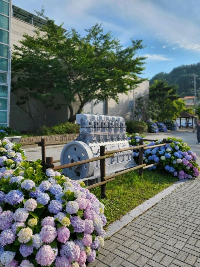 지금 당장 수국사냥 떠나야할 거제도 여행지