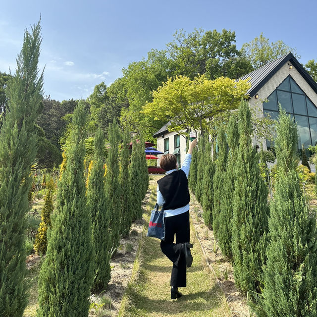 역대급 푸릇푸릇한 카페 오창 숲이그린정원 신상 뿌셔!🍀