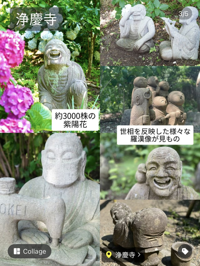 紫陽花穴場スポットと夏のイルミ《ランタンナイト》1日満喫コース