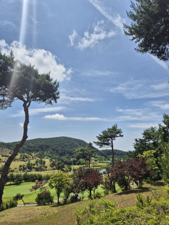 🌿 용인 처인 체력단련장, 가까운 곳에서 누리는 필드의 여유