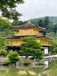 1 Day Trip เกียวโต เสน่ห์เมืองเก่า