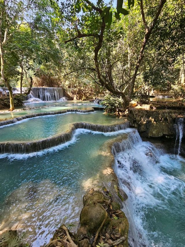 Turquoise Dreamland