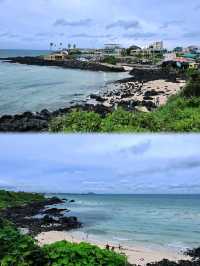 漢潭海岸 和 龍潭海邊散步🏖🌴