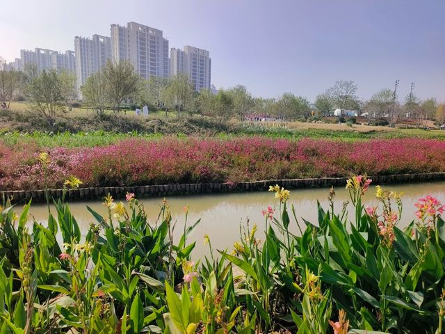 ～西鳳村生態公園～環境優美～