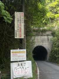  A Peaceful Hidden Hike in Kyoto – Arashiyama to Takao Nature Trail 