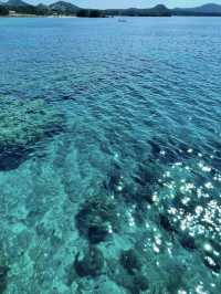 【海の中をのぞいてみよう】沖縄の海を間近に感じる「ブセナ海中公園」