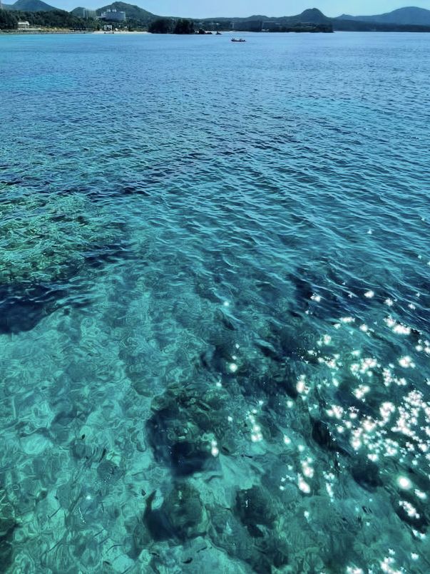 【海の中をのぞいてみよう】沖縄の海を間近に感じる「ブセナ海中公園」