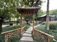 🌿☀️ Slow down and soak up the vibes at Chengdu People’s Park 人民公园