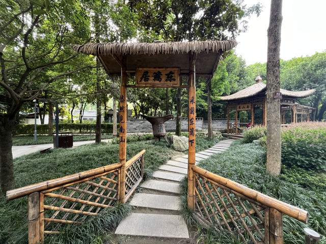 🌿☀️ Slow down and soak up the vibes at Chengdu People’s Park 人民公园
