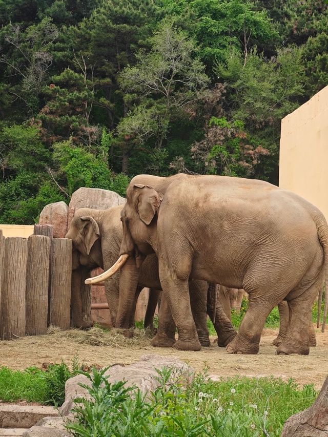 ~潮汕野生動物世界~