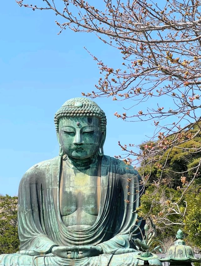 🎌✨ Tokyo Diaries: Where Cool Meets Culture! ✨🏙️