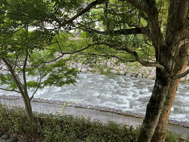 新井旅館 arai 修善寺溫泉
