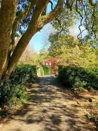 Royal Victoria Park