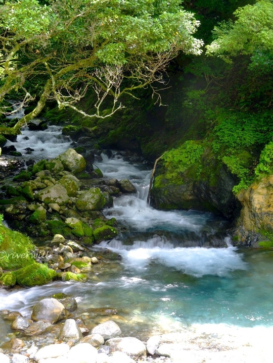 抽象的な自然風景写真 滋賀】真夏でも気温13℃の天然クーラー「河内の風穴」 | Trip.com 多賀町