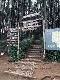 Jogja: Where Culture Lives & Volcanoes Watch