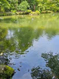 金澤｜兼六園涓流水泉之美