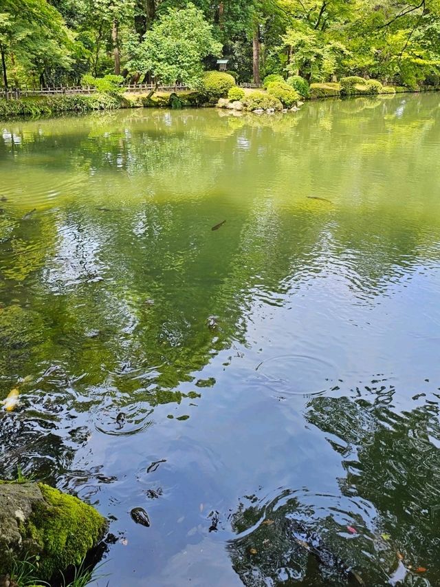 金澤｜兼六園涓流水泉之美