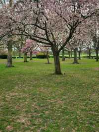 War Memorial Park