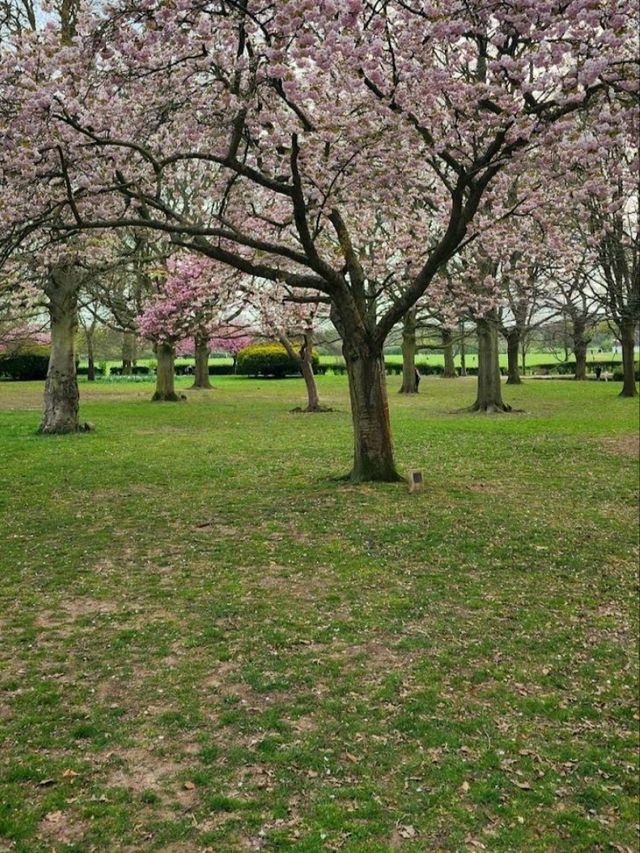 War Memorial Park